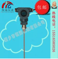  射頻導納液位計的工作原理如何？
